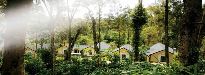 1386/The Windflower Resorts & Spa - Madikeri 02.jpg